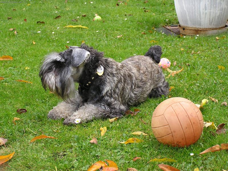 Foto: Noryk