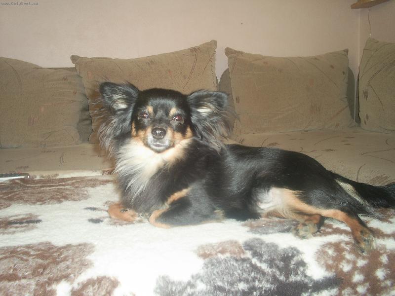 Foto:  :-)