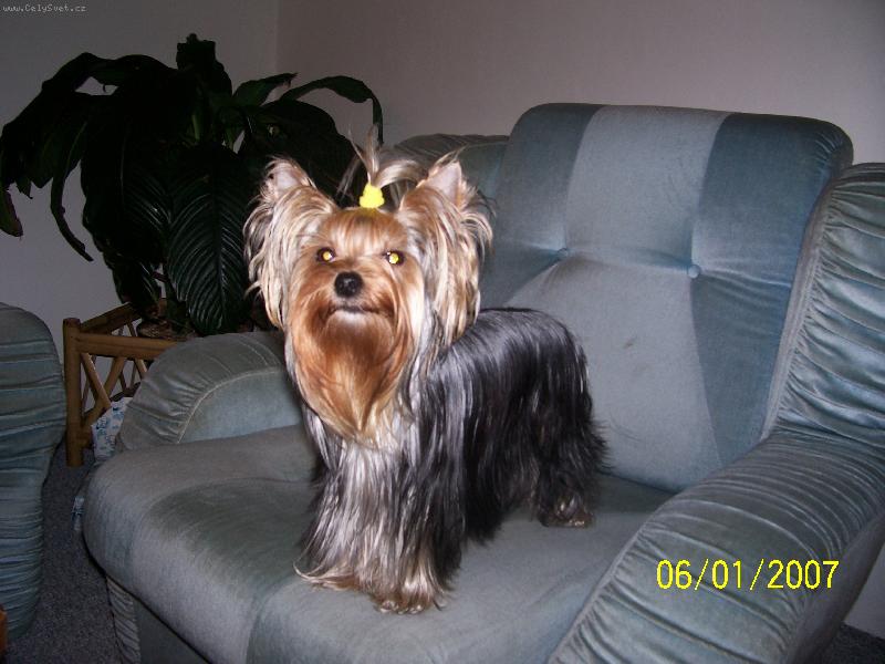 Foto: Bessy