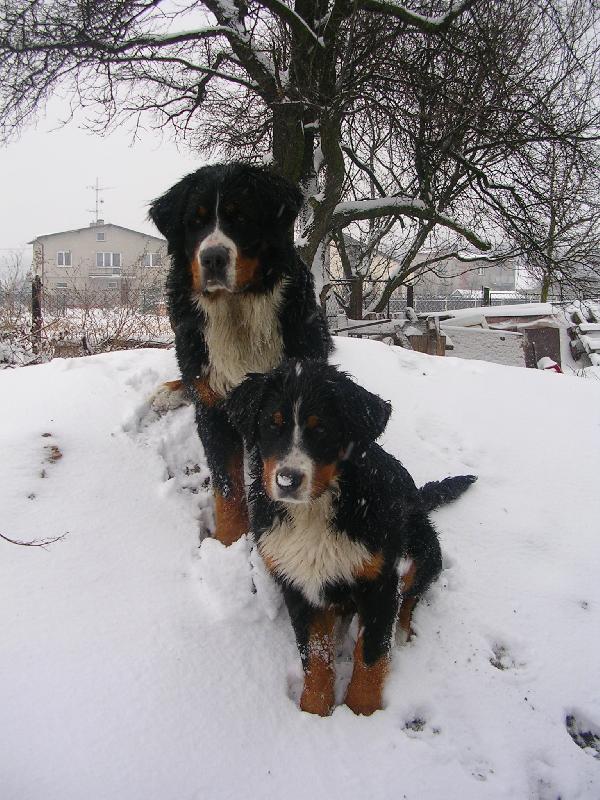 Foto: Max a Sam