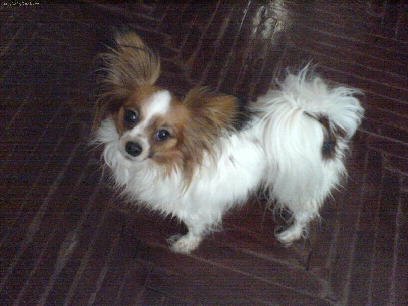 Foto: Gina