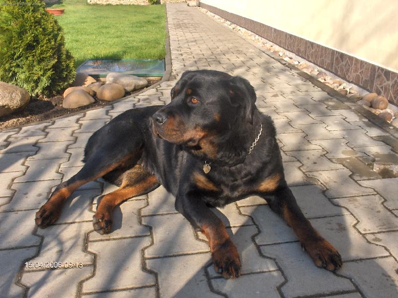 Foto: Britu�ka