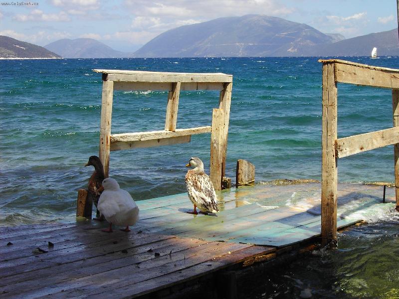 Foto: Kefalonia
