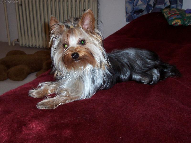 Foto: Chanel
