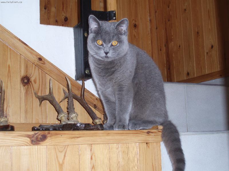 Foto: Max