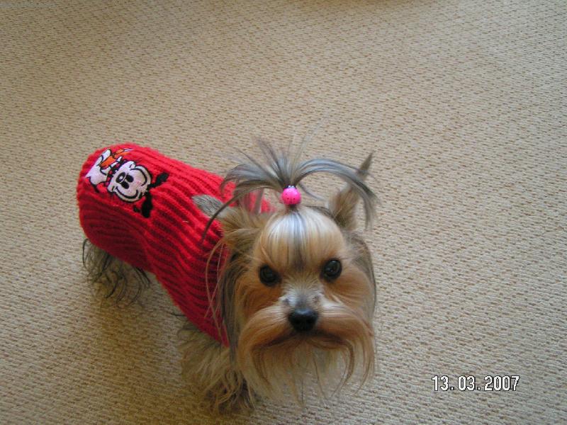 Foto: Lilli