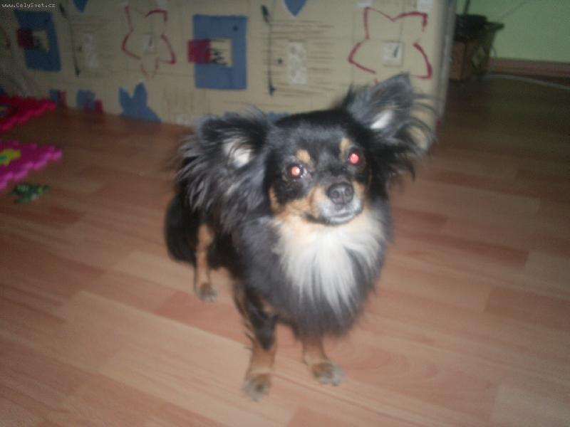 Foto: Bessi