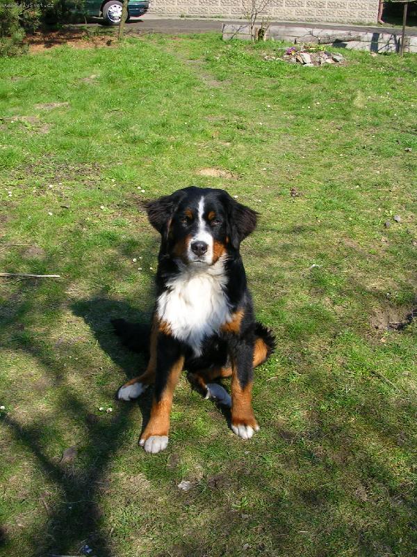 Foto: Sam