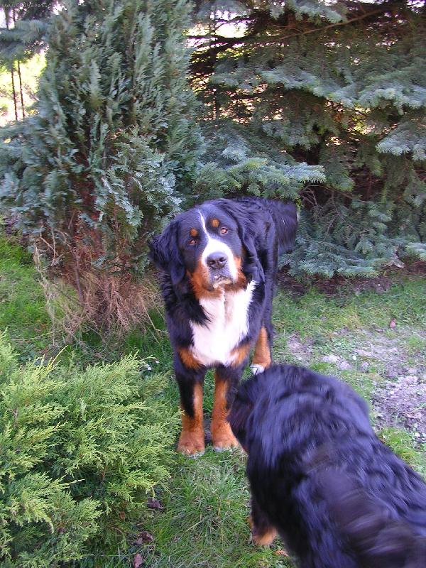 Foto: Max