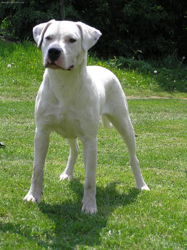Foto: Pacha