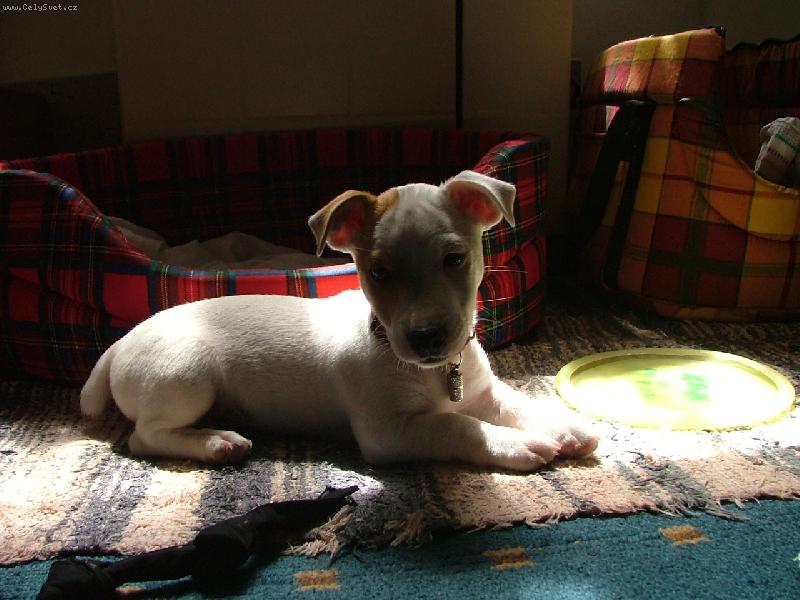 Foto: Tylda