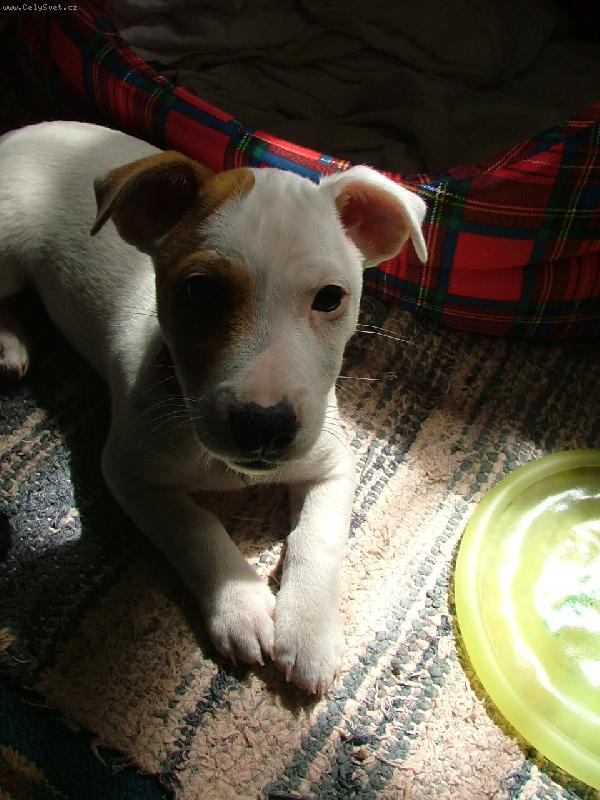 Foto: Tylda