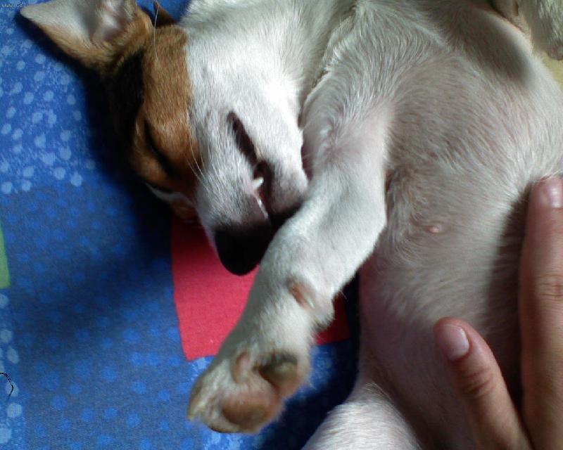 Foto: monro