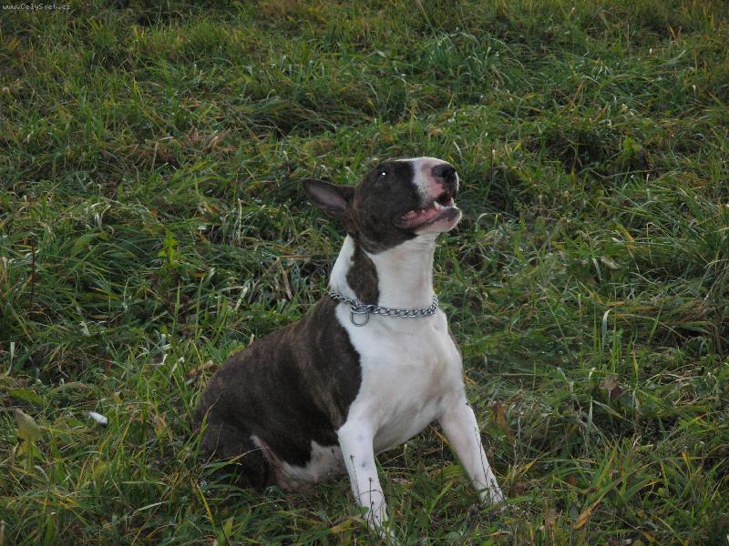 Foto: Tascha
