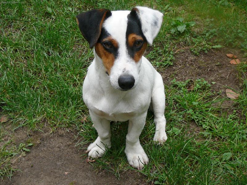 Foto: Hugo