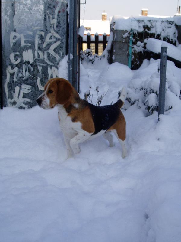 Foto: Triky