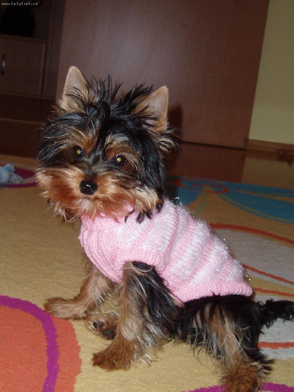Foto: Chanelka