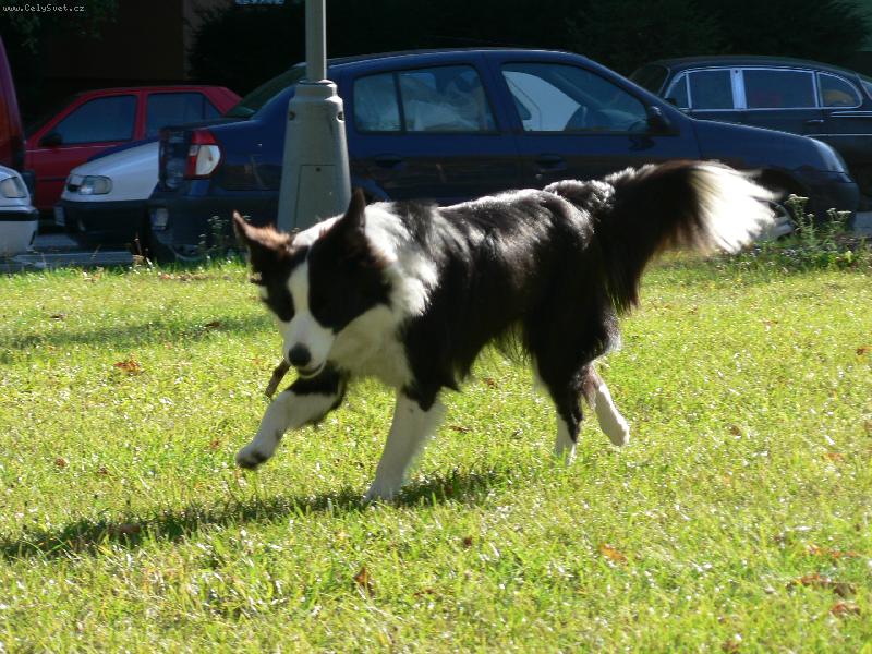 Foto: Jessie