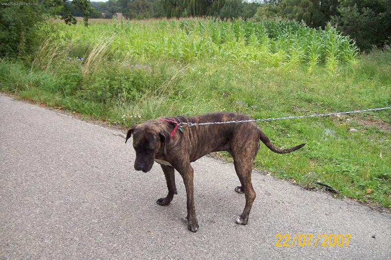 Foto: saruska