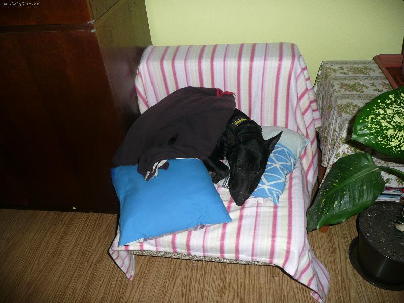 Foto: Ozzy