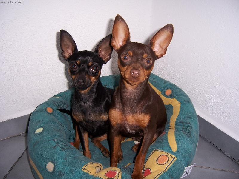 Foto: prdelindy