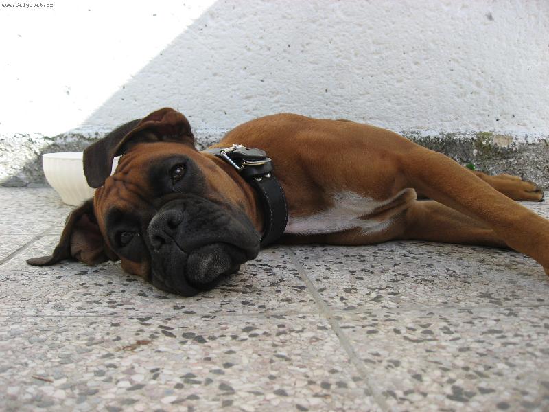 Foto: AG�TKA
