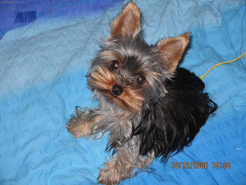Foto: Phoebe