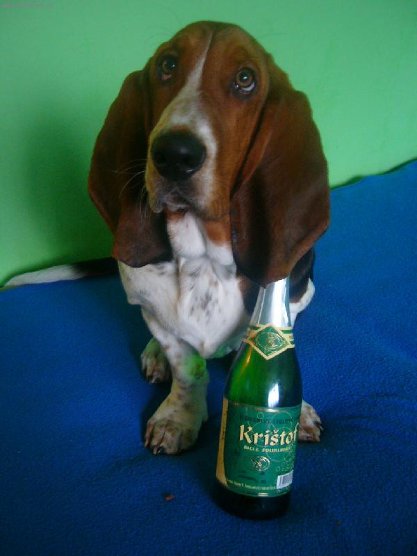 Foto: kristof
