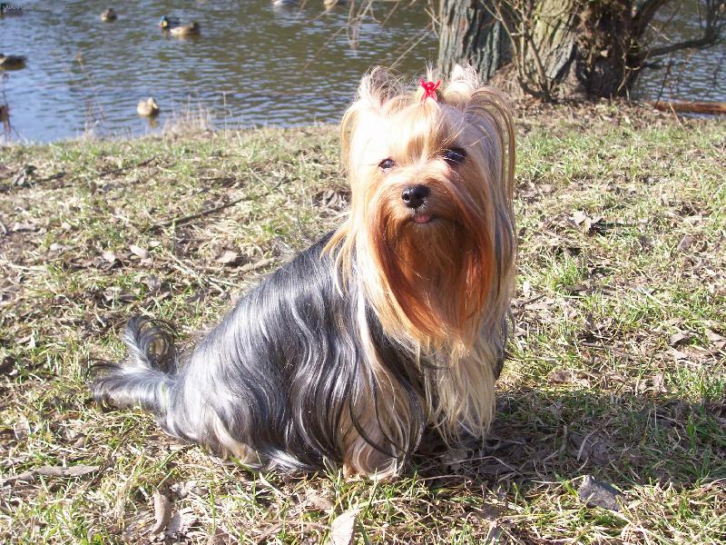 Foto: Bessy-Bessy