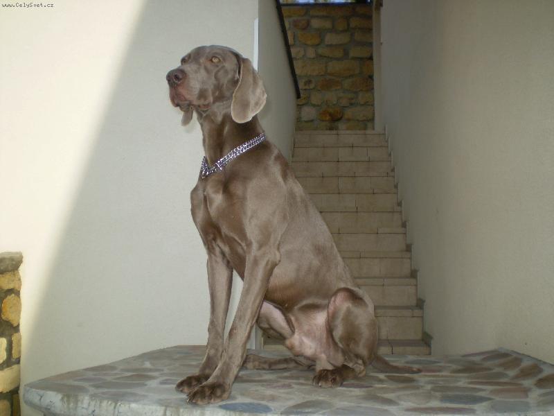 Foto: Argo