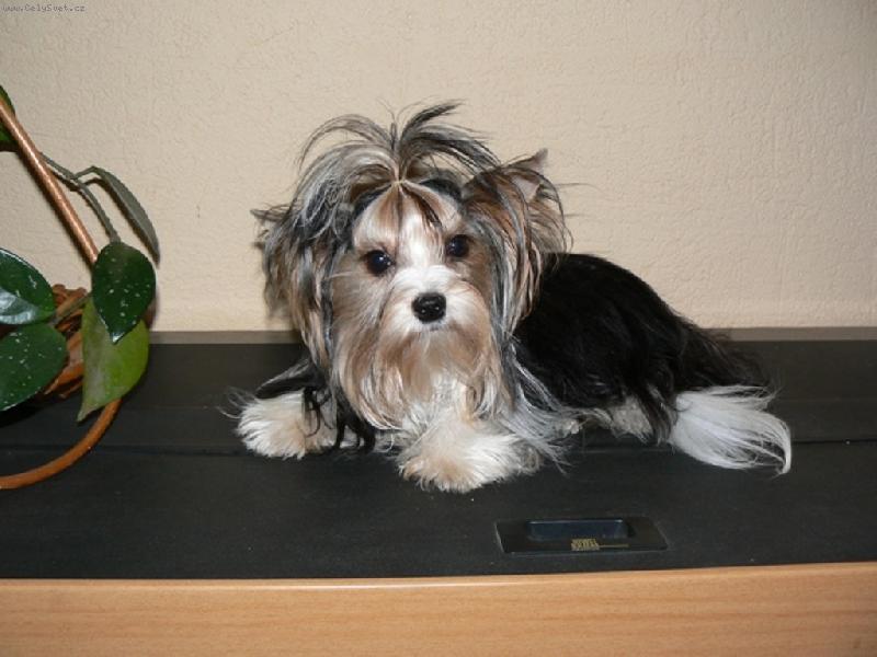 Foto: helen