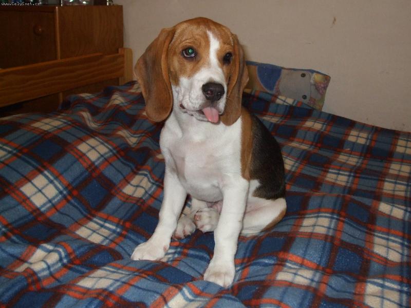Foto: Eddy
