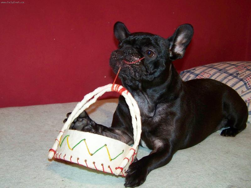 Foto: Lucky