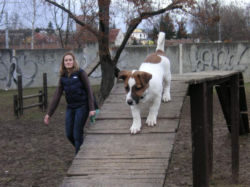 Foto: Vojta z Brna