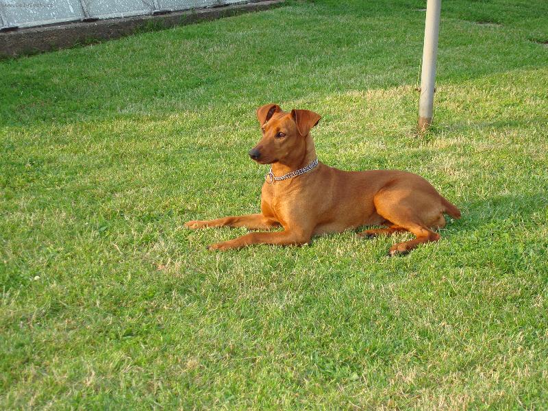 Foto: Betinka