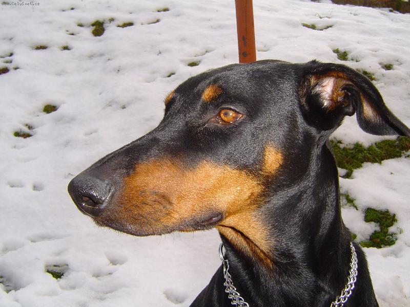 Foto: Kessy-Kuku�