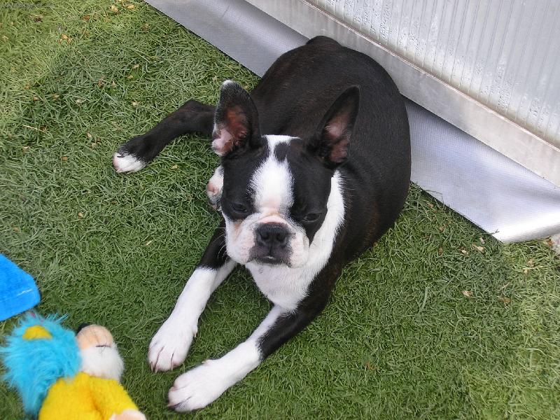 Foto: Charlot