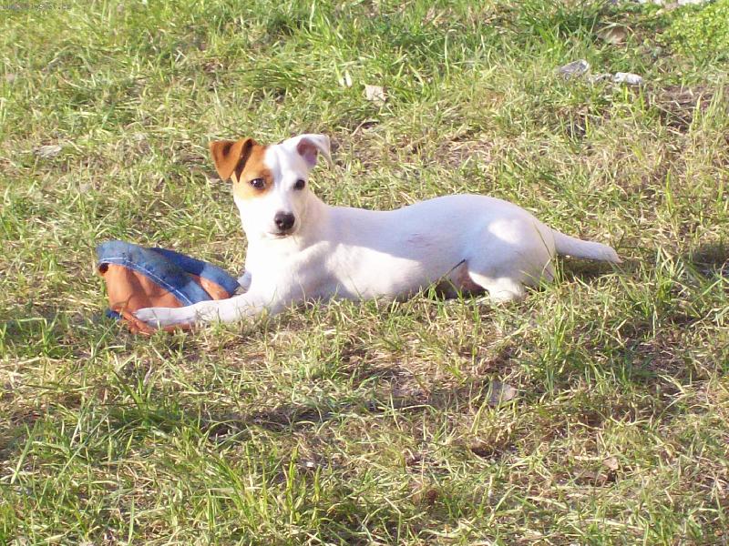 Foto: Maggie-Maggie