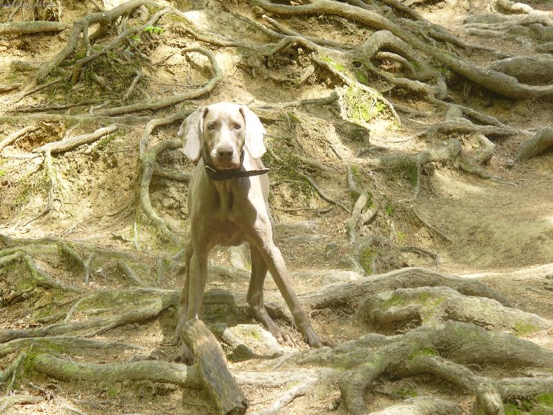 Foto: Shira