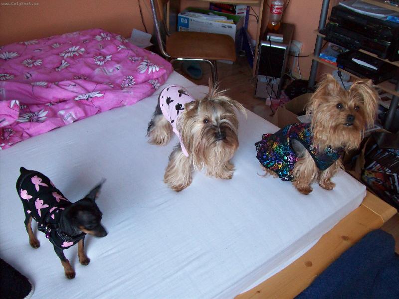 Foto: Mil��ci
