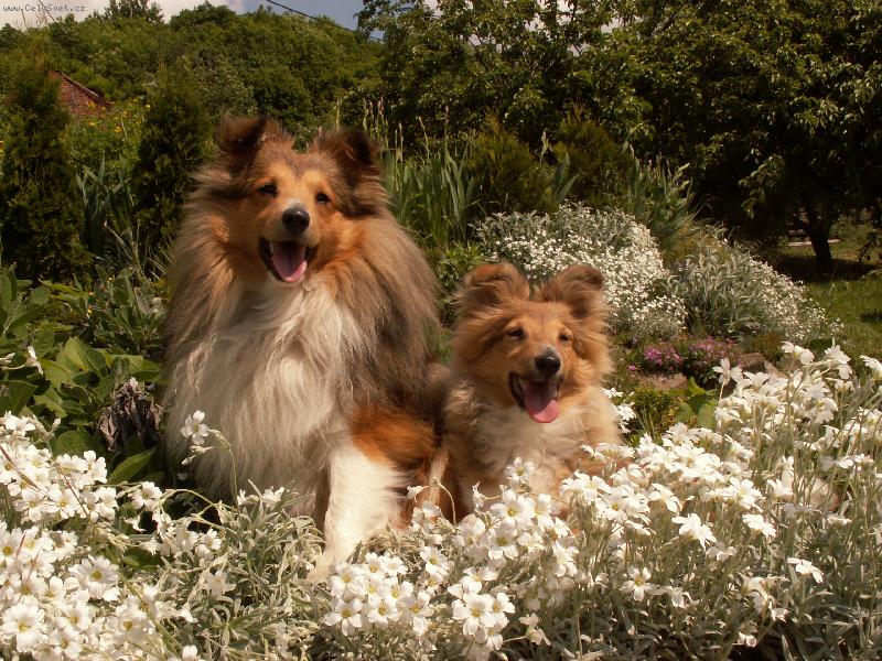 Foto: Kenn a Limi