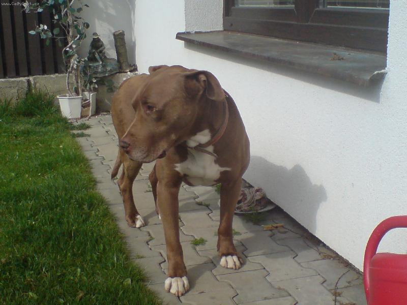 Foto: Aron