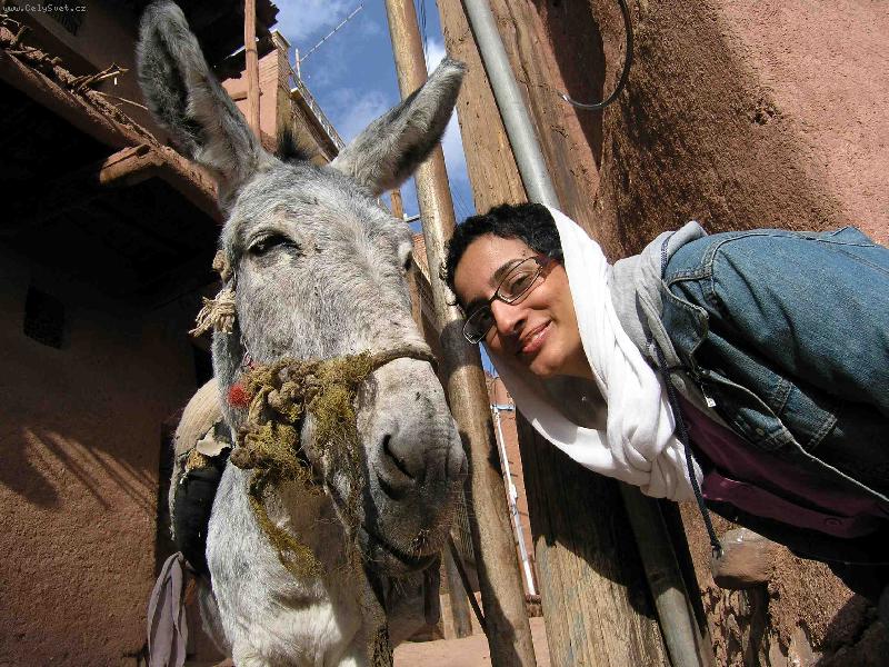 Foto: Setareh