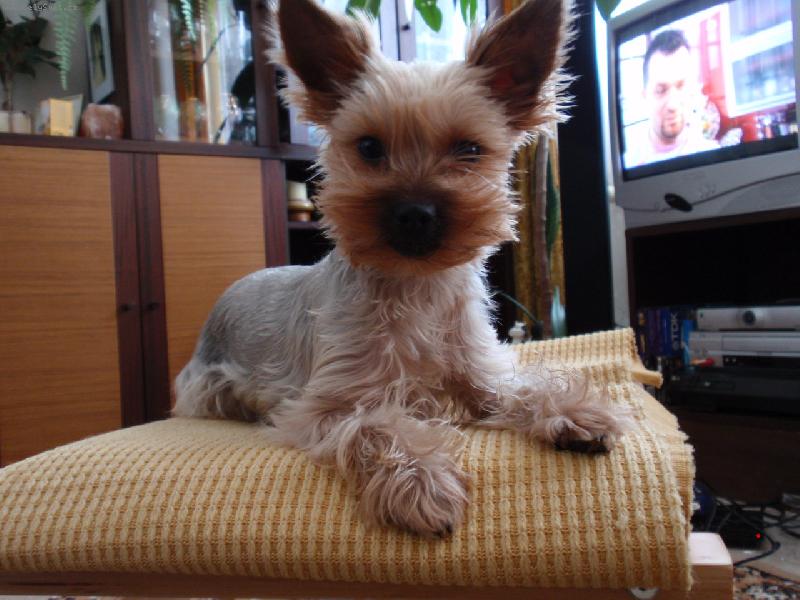 Foto: Jessi