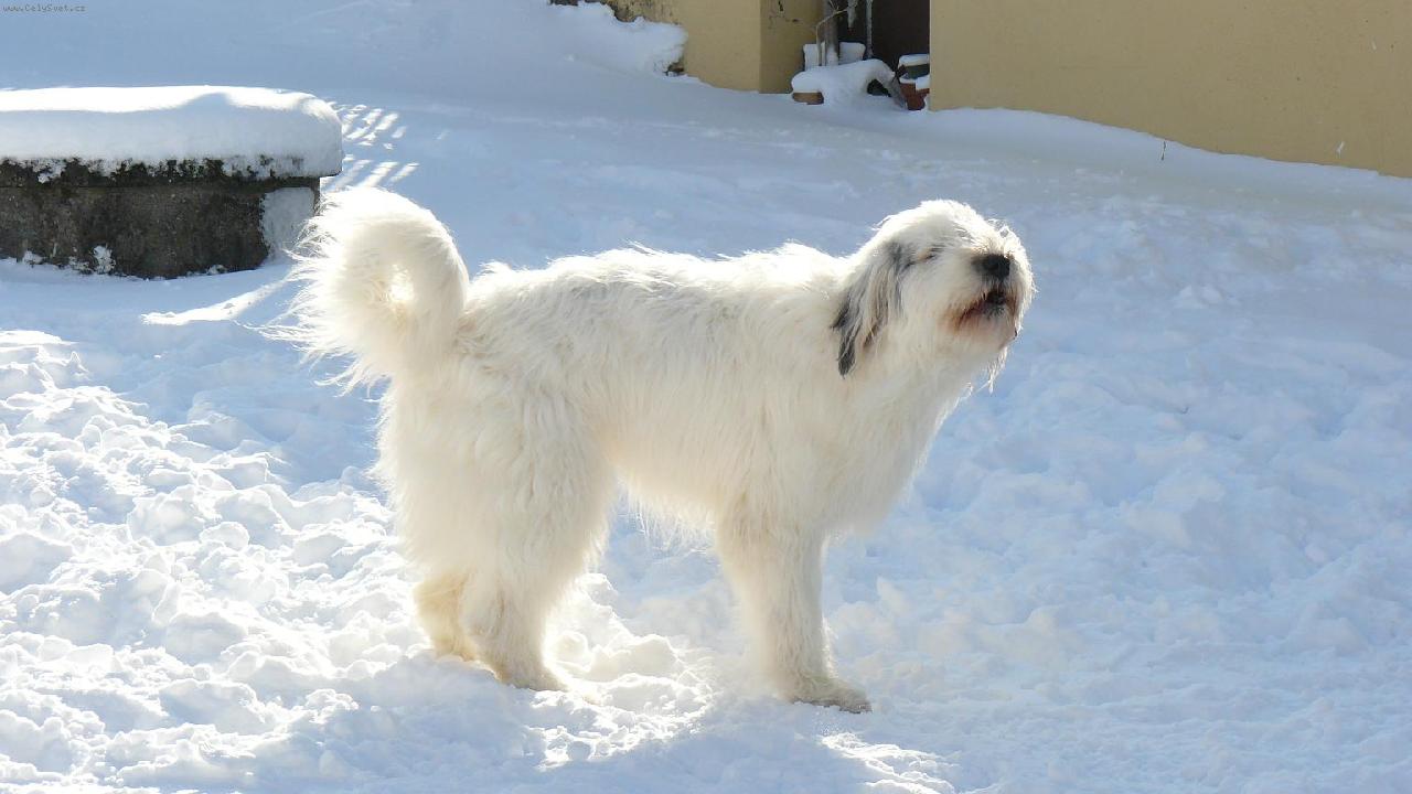 Foto: Kariska