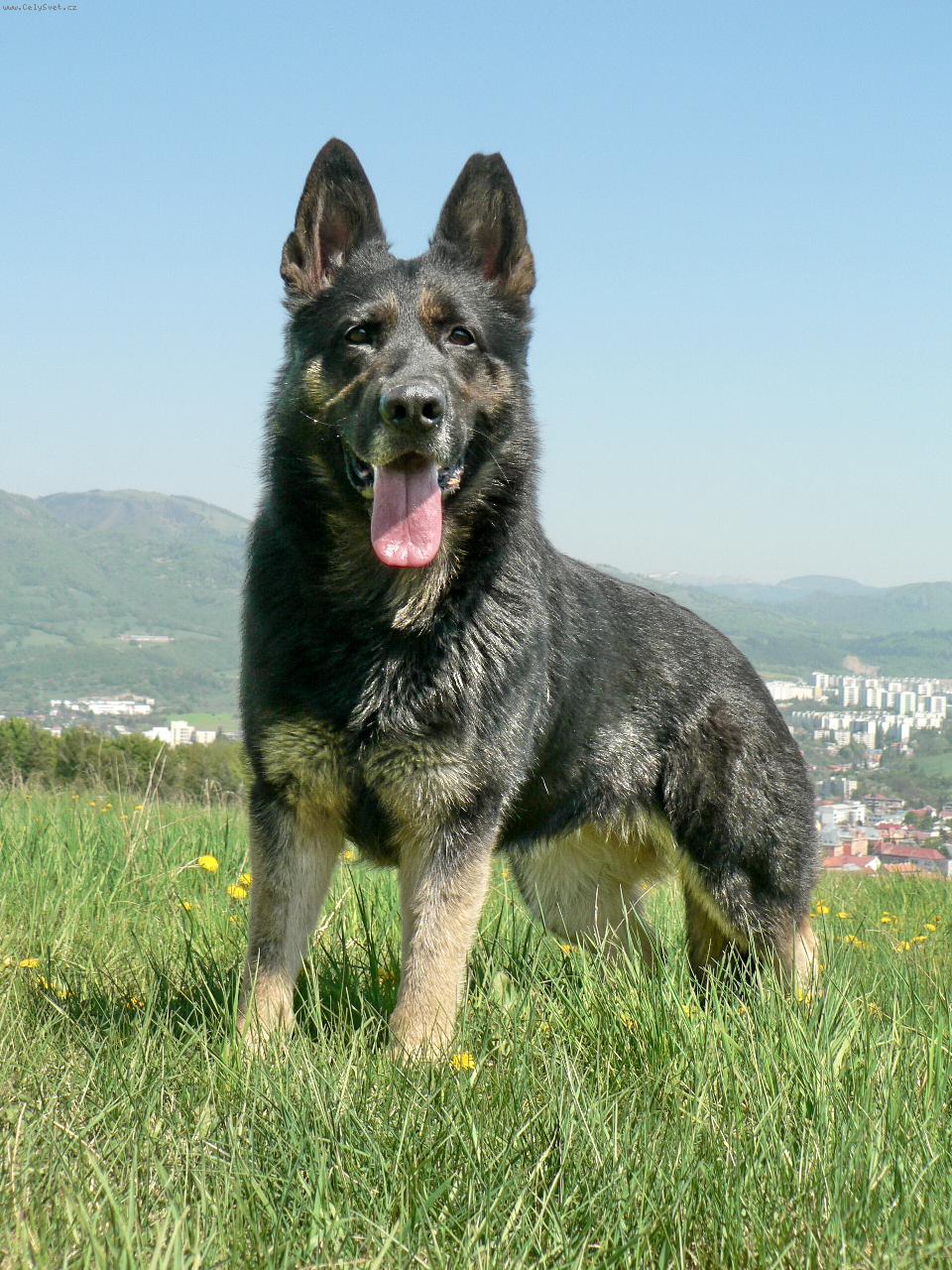 Foto: Gera