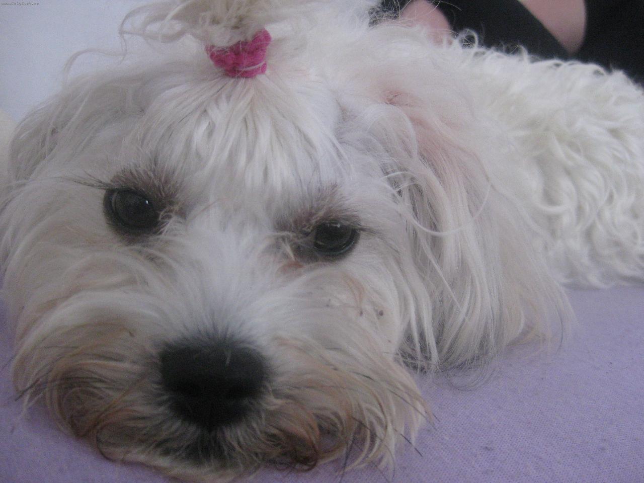 Foto: Meggie:)