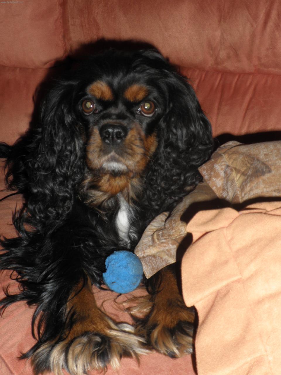 Foto: :-*-Rainny