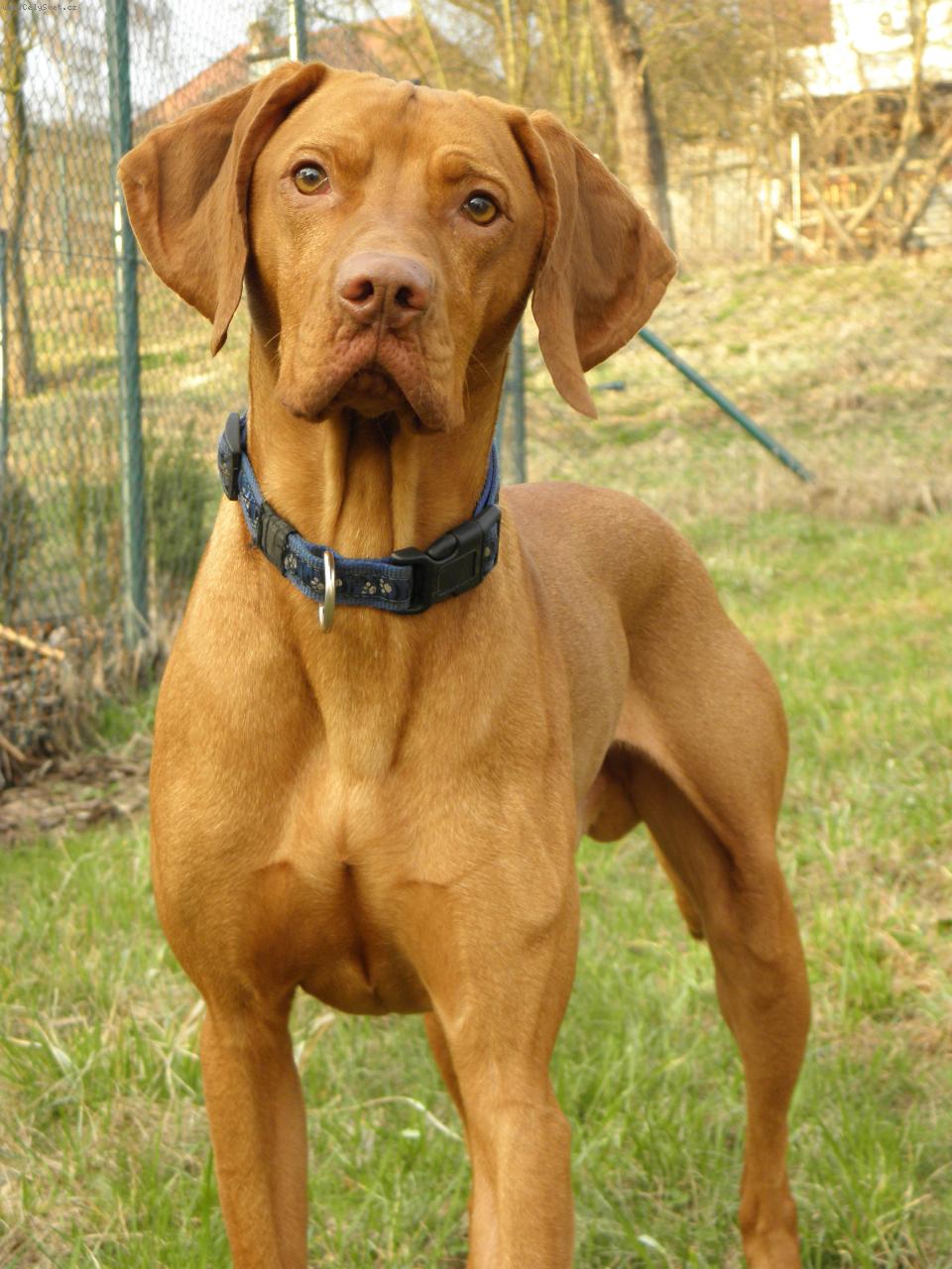 Foto: Argo