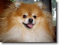 no prost� n� ly���ek
